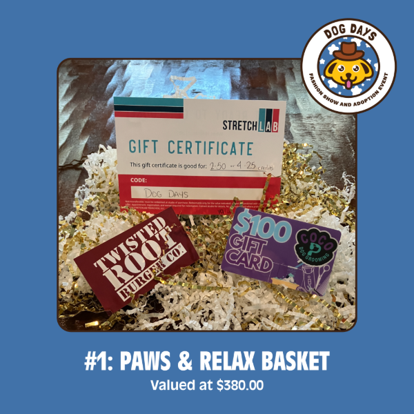 dog days raffle images-1.png