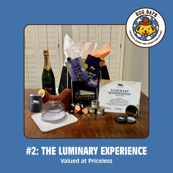 dog days raffle images-2.png