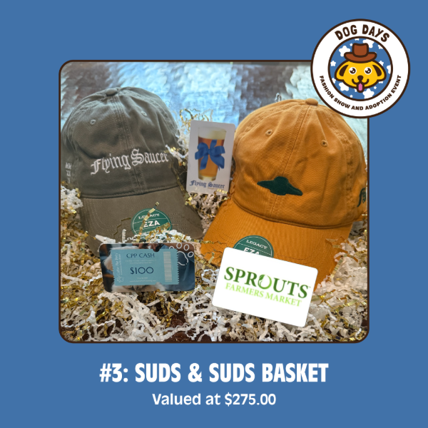 dog days raffle images-3.png